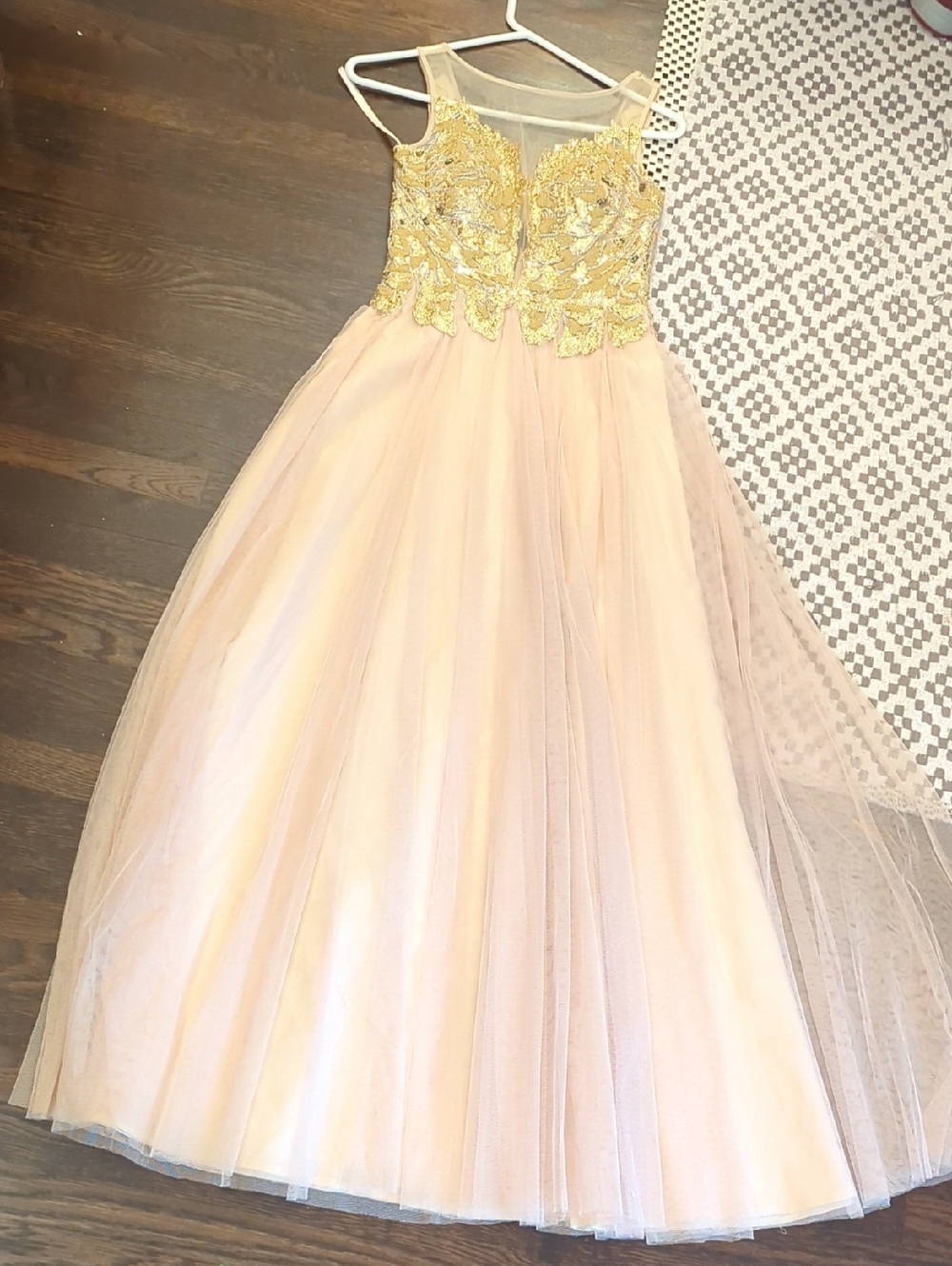 Black Label Gold Embroidered Bodice Blush Tulle Gown
